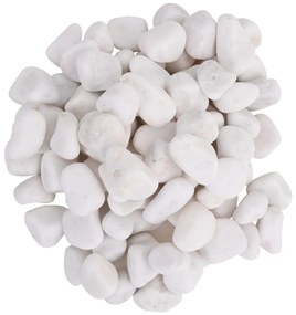 vidaXL Βότσαλα Γυαλισμένα Λευκά 25 κ. 2-5 εκ.