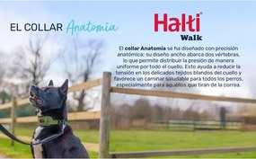 Κολλάρο Σκύλου Company of Animals Γκρι