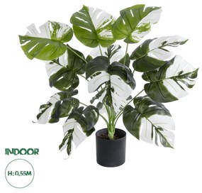 GloboStar® Artificial Garden ALBINO MONSTERA 20935 Διακοσμητικό Φυτό Λευκή Μονστέρα Υ55cm