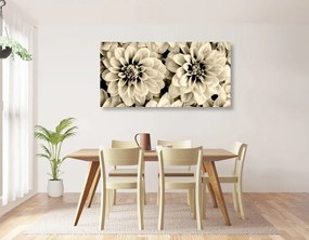 Εικόνα λουλούδια ντάλιας σε σχέδιο σέπια - 100x50
