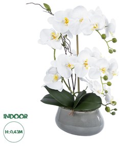 GloboStar® Artificial Garden WHITE ORCHID 21120 Διακοσμητικό Φυτό Λευκή Ορχιδέα Υ43cm