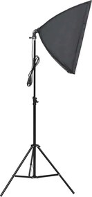 vidaXL Φωτιστικά Studio Επαγγελματικά 2 τεμ. 40 x 60 εκ.