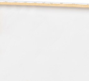 Decorative Canvas Painting 4570COC-007 Multicolor