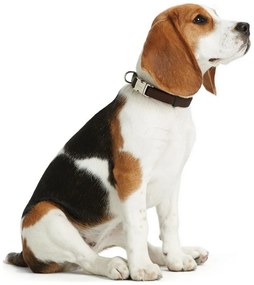 Κολλάρο Σκύλου Hunter Vario Basic Alu-Strong Γκρι M 30-45 cm