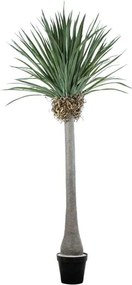 Τεχνητό Δέντρο Beaucarnea Palm 20048 250cm Beige-Green Globostar Πολυαιθυλένιο,Ύφασμα