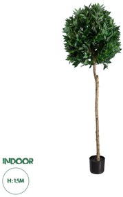 20085 GloboStar® Artificial Garden LAUREL 20085 Τεχνητό Διακοσμητικό Φυτό Δάφνη Υ150cm