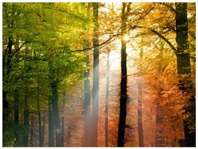Φωτοταπετσαρία - Beautiful autumn 300x231