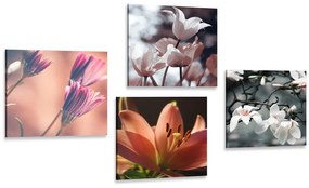 Σετ εικόνων τρυφερότητα των λουλουδιών - 4x 60x60