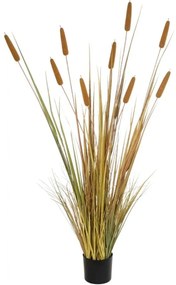 Τεχνητό Φυτό Typha Grass 21484 100x35x180cm Green-Brown GloboStar PVC