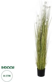 Τεχνητό Διακοσμητικό Φυτό Βαμβάκι Artificial Garden ERIOPHORUM ANGUSTIFOLIUM COTTON GRASS 20074 Globostar-20074-Πράσινο 20074