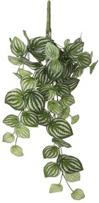 Τεχνητό Φυτό Κρεμαστό 58εκ. Edelman Peperomia L.Green 1074940
