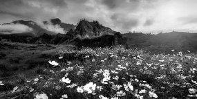 Εικόνα λιβάδι με ανθισμένα λουλούδια σε μαύρο & άσπρο - 120x60
