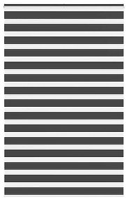 Ζέβρα τυφλή Μαύρο Πλάτος υφάσματος 135,9 εκ. Πολυεστέρας