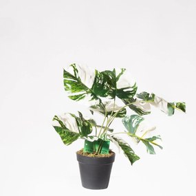 Supergreens Τεχνητό Φυτό Μονστέρα Albo Variegata Πράσινο 45 εκ