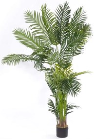 Τεχνητό Δέντρο Αρέκα Emerald 6111-6 100x100x180cm Green Supergreens Πολυαιθυλένιο
