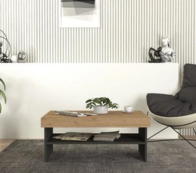 Stewehome Ορθογώνιο Τραπεζάκι Σαλονιού Ανθρακί 93.6x63.6x18 cm