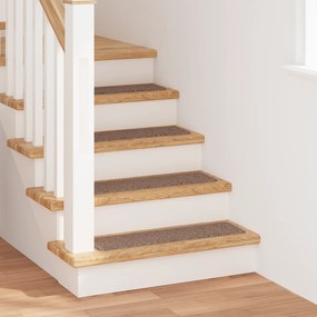 vidaXL Αυξημένα Σκαλοπάτια με Λατέξ Καφέ 20x75 εκ.