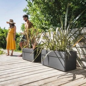 Βάζο Λουλουδιών EDA