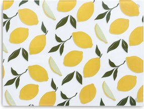 Δίσκος Κοπής (40x30) Z-L Lemons 26337