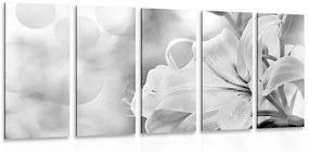 Εικόνα λουλουδιών κρίνων 5 τμημάτων σε αφηρημένο φόντο σε ασπρόμαυρο σχέδιο - 200x100