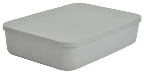 Κουτί Αποθήκευσης (35x25x8) L-C Gris 6RAN839GR