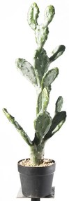 Supergreens Τενητό Φυτό Φραγκοσυκιά \"Opuntia\" 76 εκ. - 8101-6