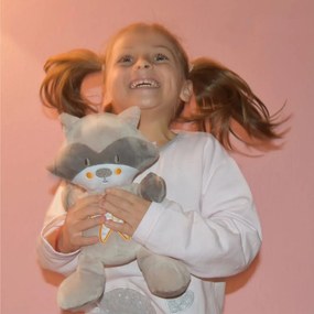 Φωτεινός Αγκαλίτσας Με Ήχο Bebe Stars Raccoon 856-186