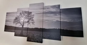 Εικόνα 5 μερών ενός μοναχικού δέντρου σε ασπρόμαυρο - 100x50