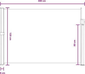 vidaXL Ανακλινόμενος Πλευρικός Απλώστρα 120 x 300 cm