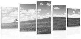 Εικόνα 5 μερών μιας όμορφης μέρας στο λιβάδι σε ασπρόμαυρο - 100x50