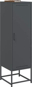 vidaXL Ντουλάπι Ανθρακί 36x39x123 εκ. από Ατσάλι
