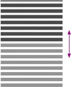 vidaXL Ζέβρα τυφλή Μαύρο Πλάτος υφάσματος 155,9 εκ. Πολυεστέρας
