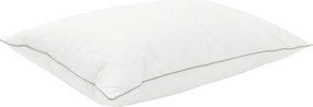 vidaXL Μαξιλάρι FULDA 60 x 70 cm 100% Πούπουλο και φτερό χήνας Λευκό
