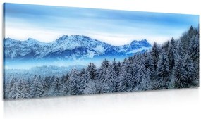 Εικόνα παγωμένα βουνά - 100x50