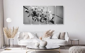 Εικόνα 5 μερών άνθους κερασιάς σε ασπρόμαυρο - 100x50