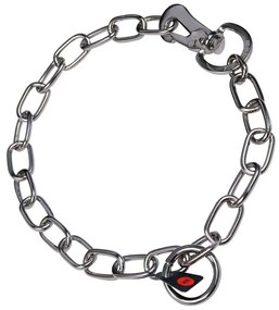 Κολλάρο Σκύλου Hs Sprenger Ασημί 3 mm Σύνδεσμοι Ημιμακριές (50 cm)