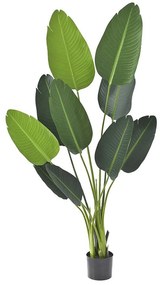 Φυτό Μπανανία 80889 150cm Green Πλαστικό