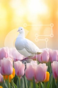 Σετ των 2 Intra Συλλεκτικό Ξύλινο Παζλ Plywood  4mm - Περιστέρι σε έναν κήπο τουλίπας Σε Ξύλινο Κουτί - Διαστάσεις: 10x10 cm – 25 κομμάτια