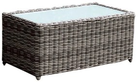 Τραπέζι Σαλονιού Arizona Ε6734,4 Alu/Wicker Grey Brown 100x50x45cm