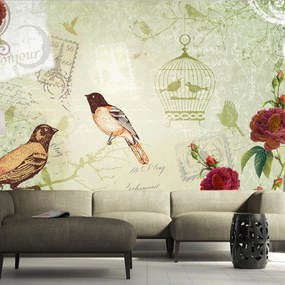 Φωτοταπετσαρία - Vintage birds 250x175