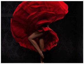 Φωτοταπετσαρία - Flamenco dancer 350x270