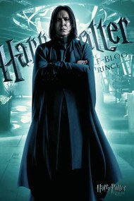 Εικονογράφηση Harry Potter - Severus Snape