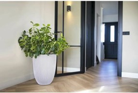 Γλάστρα Capi Europe Πλαστική ύλη Στρόγγυλο