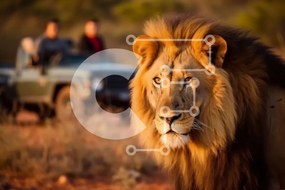 Σετ των 2 Intra Συλλεκτικό Ξύλινο Παζλ Plywood 4mm - Όμορφη εικόνα του λιονταριού σε χωματόδρομο Σε Ξύλινο Κουτί - Διαστάσεις: 10x10 cm – 25 κομμάτια