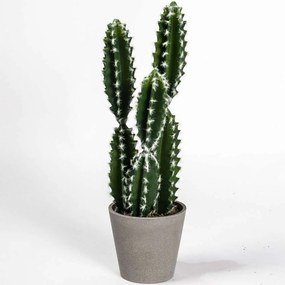 Τεχνητό Φυτό Εφόρμπια Caerulescens 0880-6 50cm Green Supergreens Polyethylene