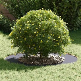 vidaXL Flat Tree Ring Ανθρακί Ø50/80 εκ Ατσάλι