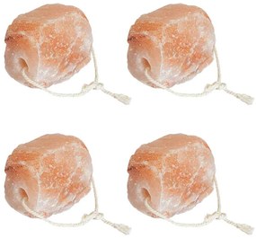 vidaXL Λίθοι Αλάτι Λιχλίδας 4 pcs Ροζ Πέτρες