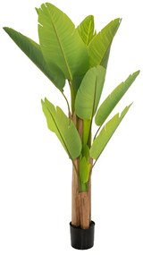 Φυτό Μπανανία 85113 160cm Green Πλαστικό