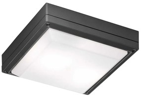Φωτιστικό Οροφής - Πλαφονιέρα Sq. Leros IP54 4049304 Anthracite Viokef Aluminium