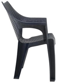 Καρέκλα Ralph Fylliana Ανθρακί 51x61x84 εκ. 51x61x84 εκ.